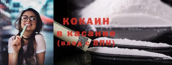 ECSTASY Богородицк