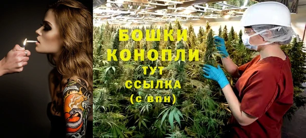 ECSTASY Богородицк