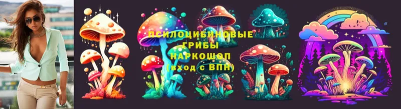 наркотики  Кировград  Галлюциногенные грибы Magic Shrooms 